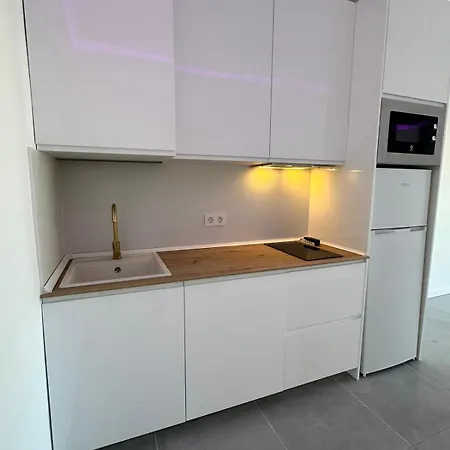 Appartement Panoramic View Paraiso 306